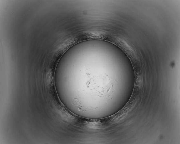 X0000099300318200805091000