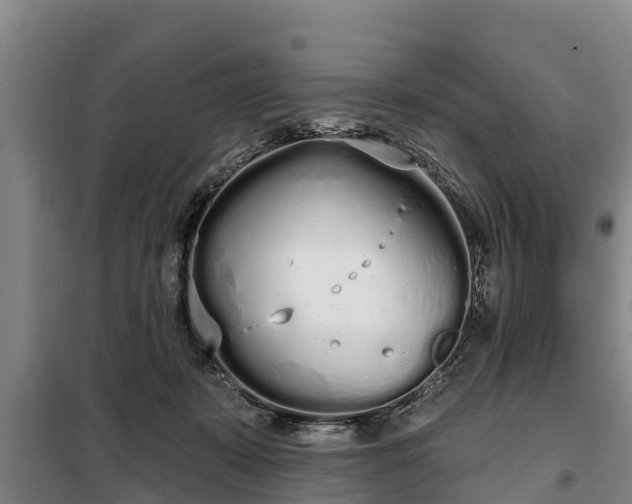 X0000099300319200805091000