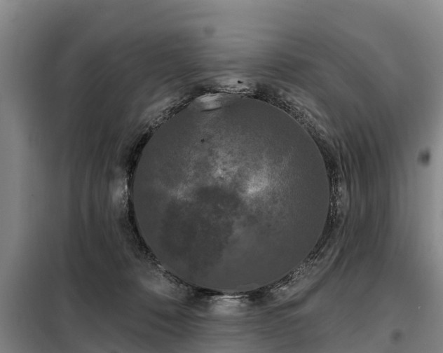 X0000099300320200805091000