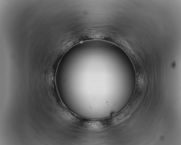 X0000099300322200805091000