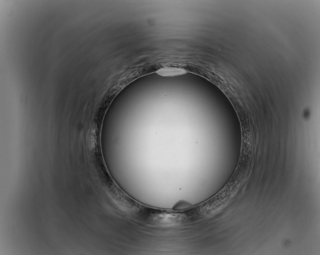 X0000099300323200805091000