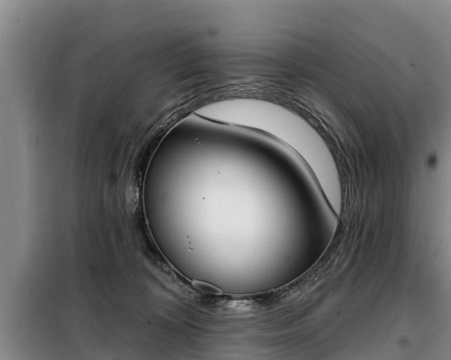 X0000099300324200805091000