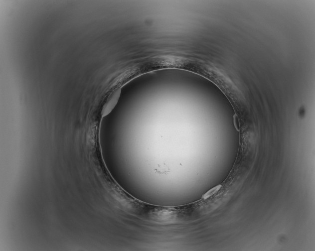 X0000099300325200805091000