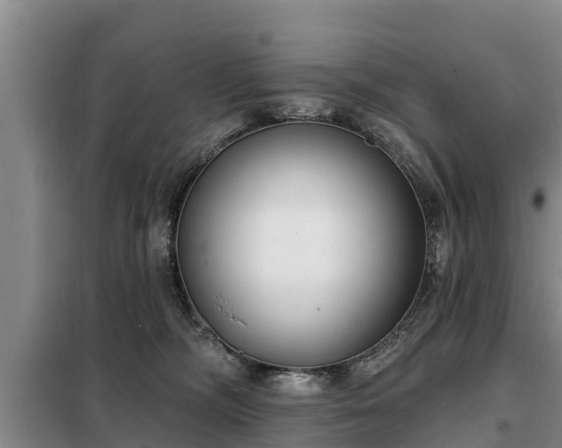 X0000099300326200805091000