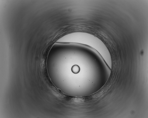 X0000099300327200805091000