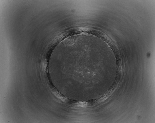 X0000099300328200805091000