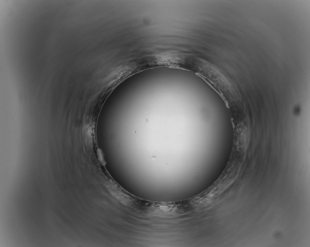 X0000099300329200805091000