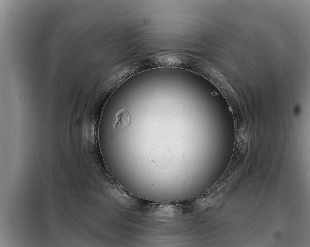 X0000099300330200805091000