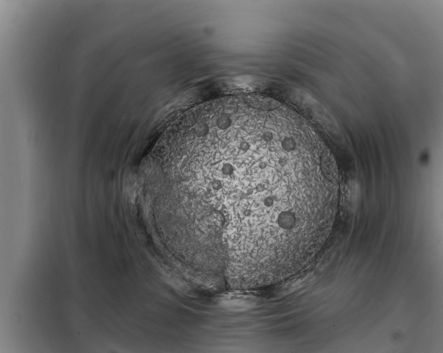 X0000099300331200805091000