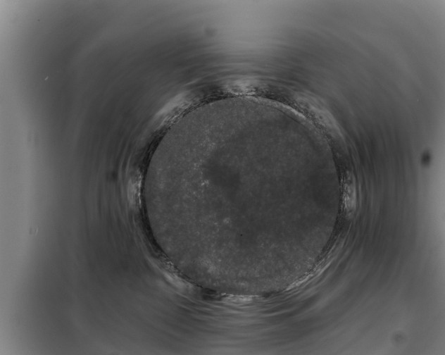 X0000099300332200805091000