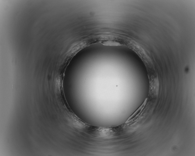 X0000099300333200805091000