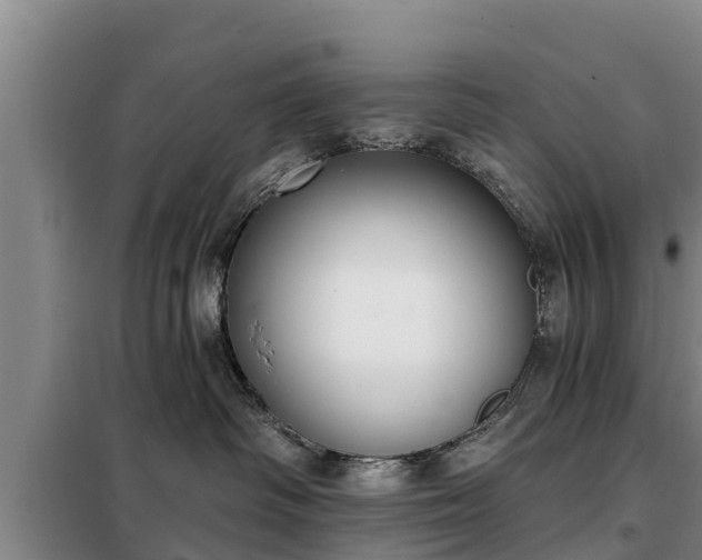 X0000099300334200805091000