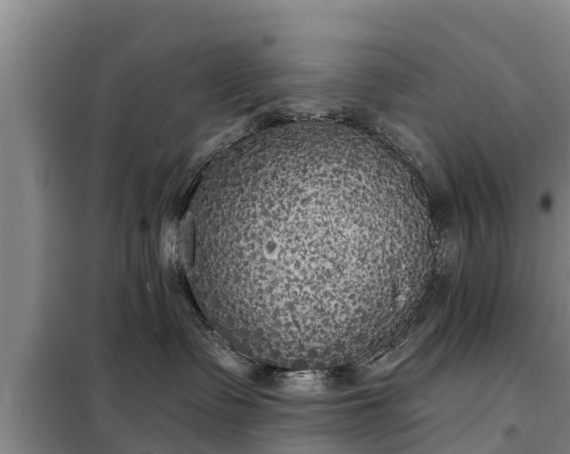 X0000099300335200805091000