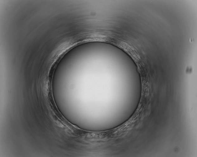 X0000099300338200805090959