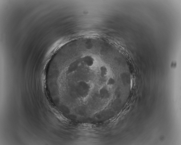 X0000099300339200805090959