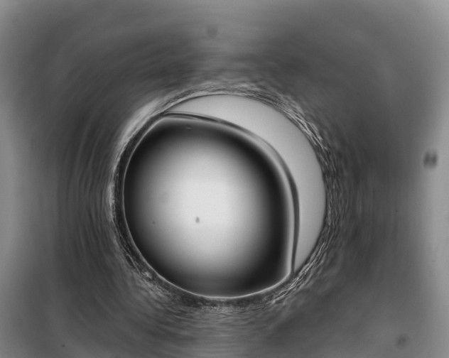 X0000099300340200805090959