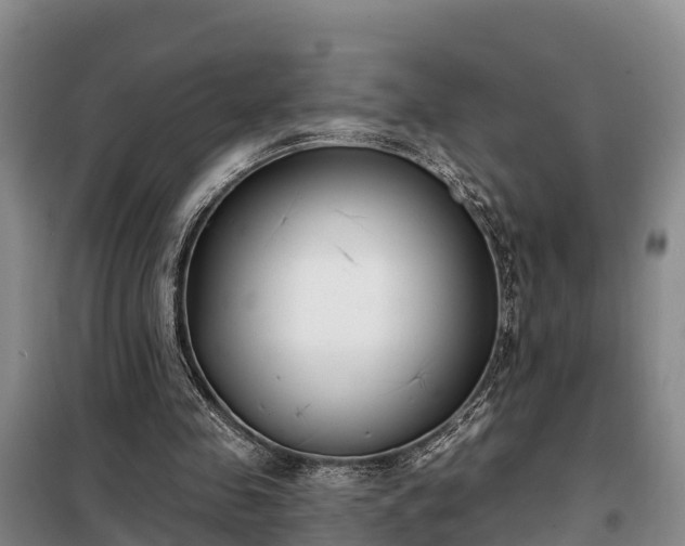 X0000099300341200805090959