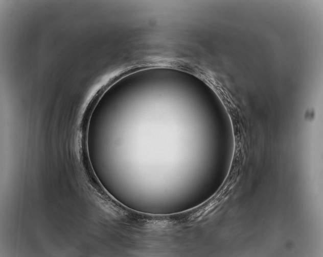 X0000099300342200805090959