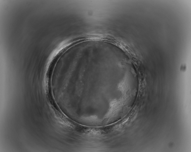 X0000099300343200805090959