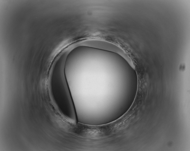 X0000099300344200805090959