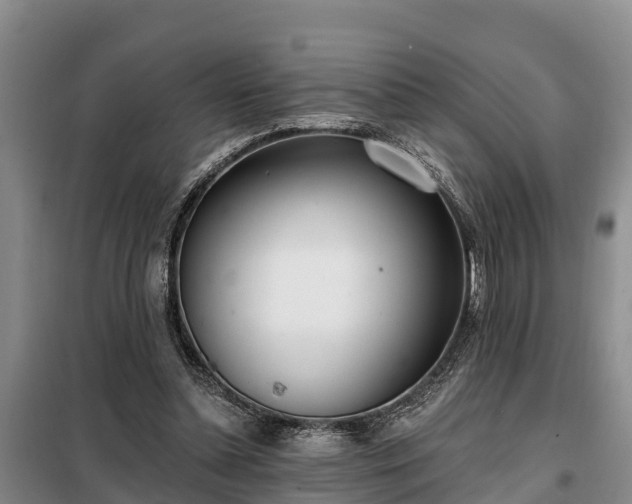 X0000099300348200805090959