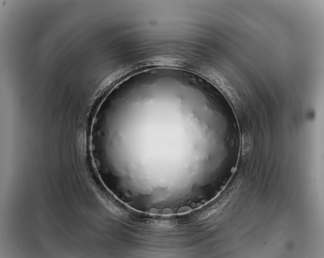 X0000099300349200805090959