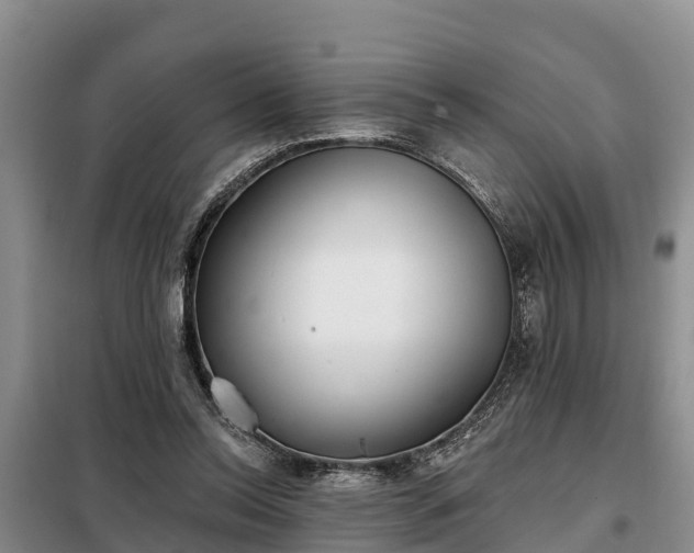 X0000099300350200805090959