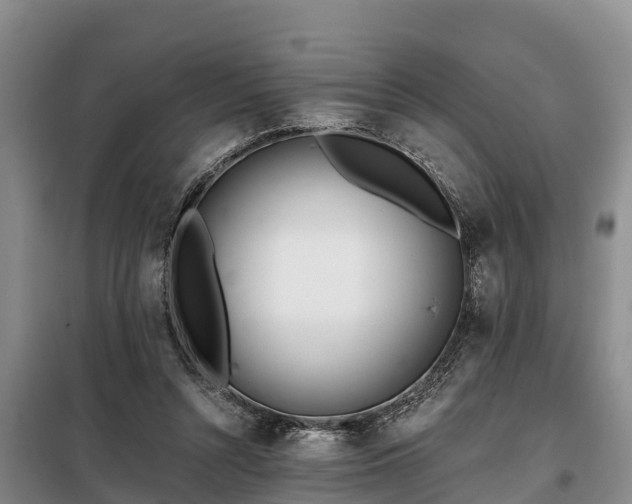 X0000099300352200805090959