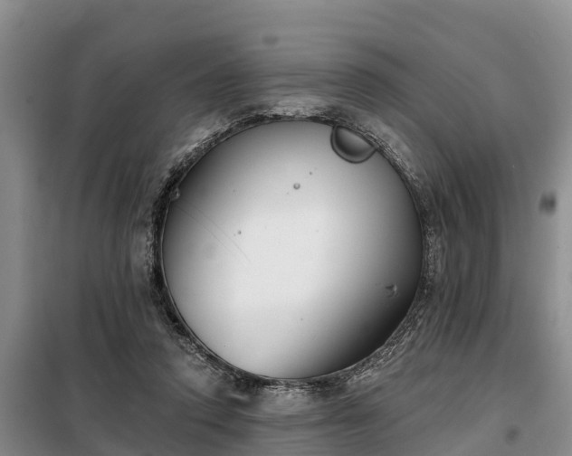 X0000099300354200805090959