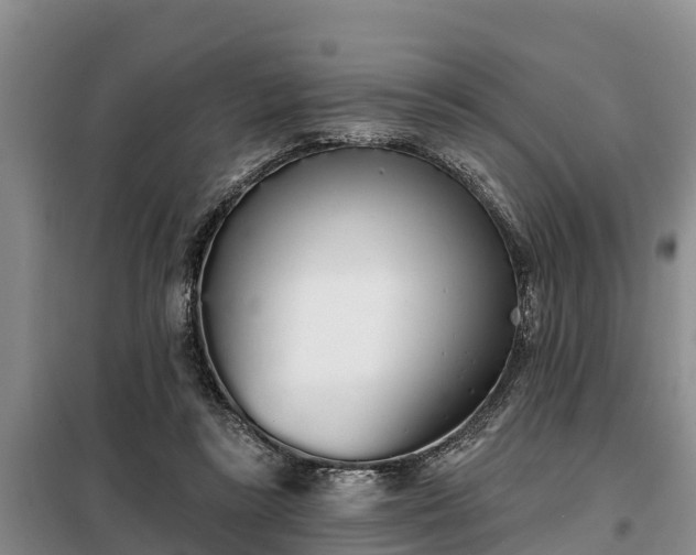 X0000099300355200805090959