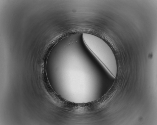 X0000099300356200805090959