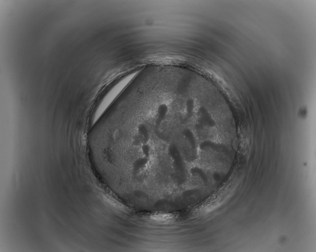 X0000099300357200805090959