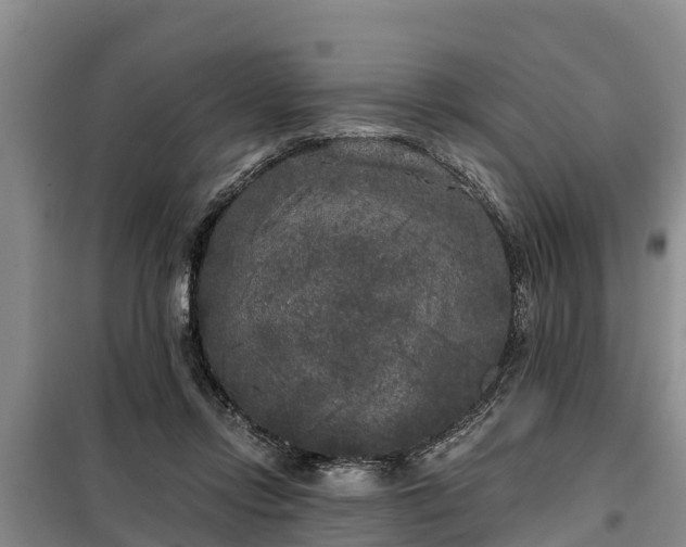 X0000099300358200805090959