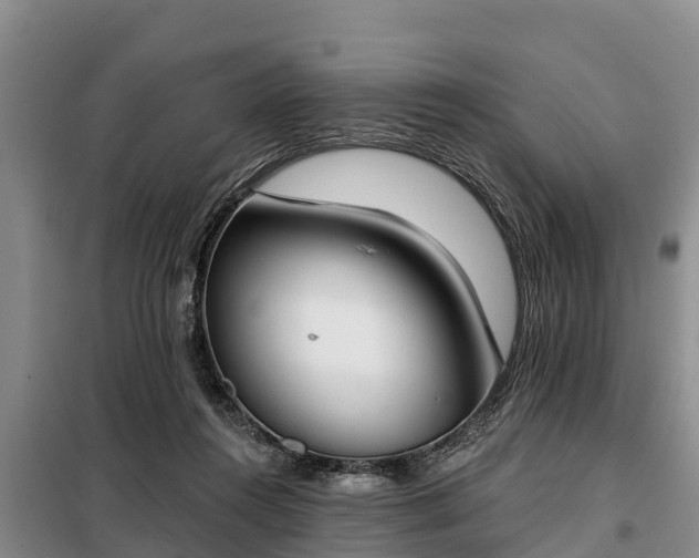 X0000099300360200805090959