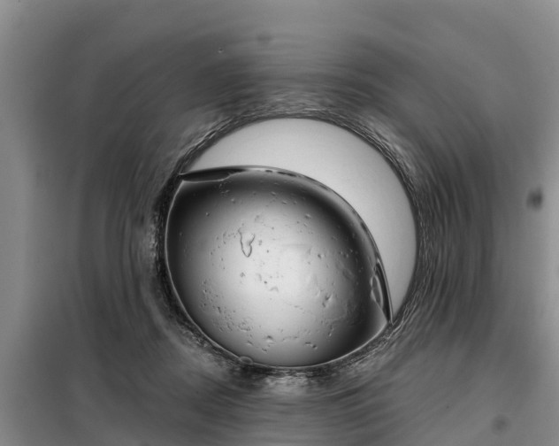 X0000099300362200805090959