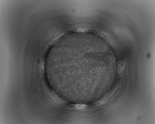 X0000099300363200805090959