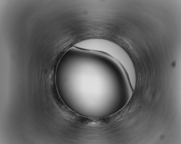 X0000099300364200805090959