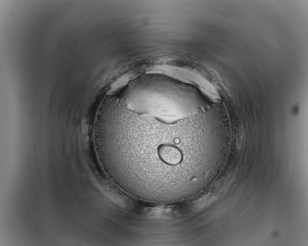 X0000099300366200805090959