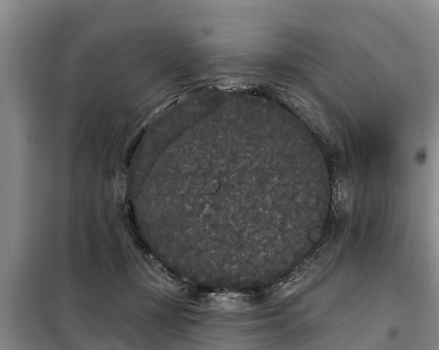 X0000099300367200805090959