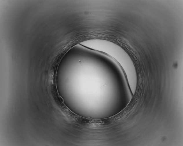 X0000099300368200805090959