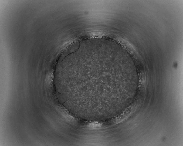 X0000099300369200805090959