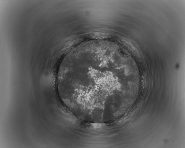 X0000099300371200805091000