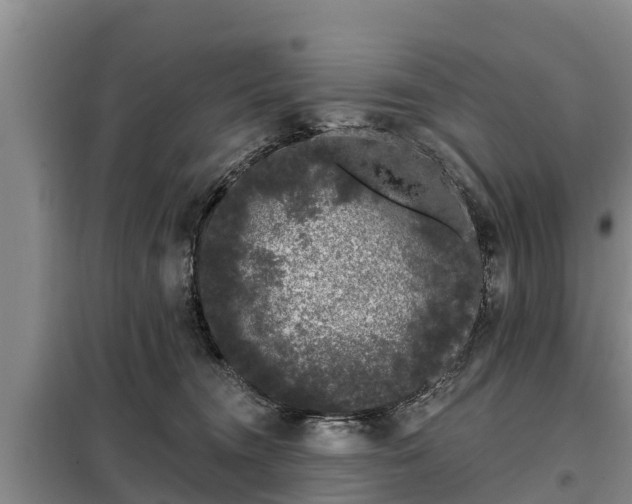 X0000099300372200805091000