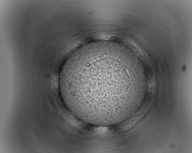 X0000099300374200805091000