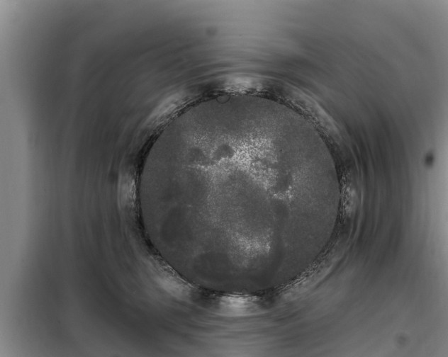 X0000099300375200805091000