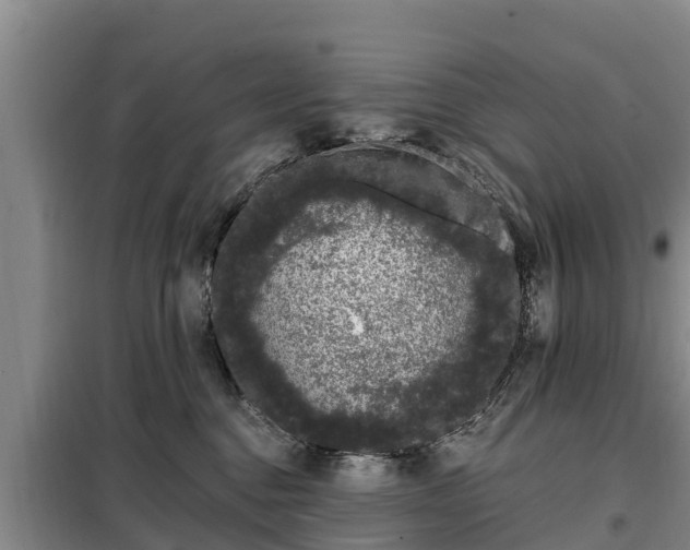 X0000099300376200805091000