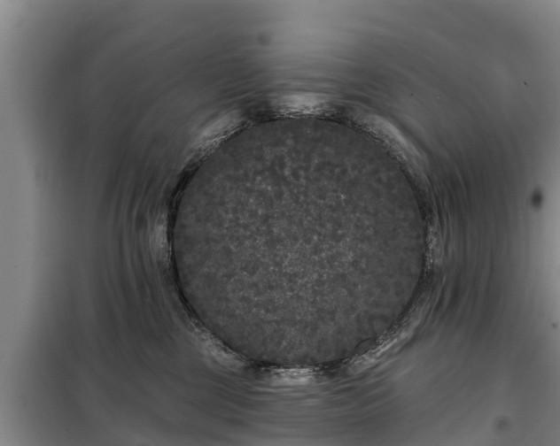 X0000099300377200805091000