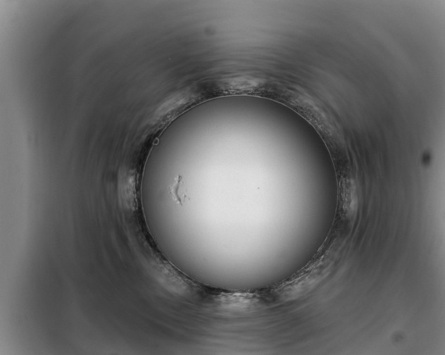 X0000099300378200805091000