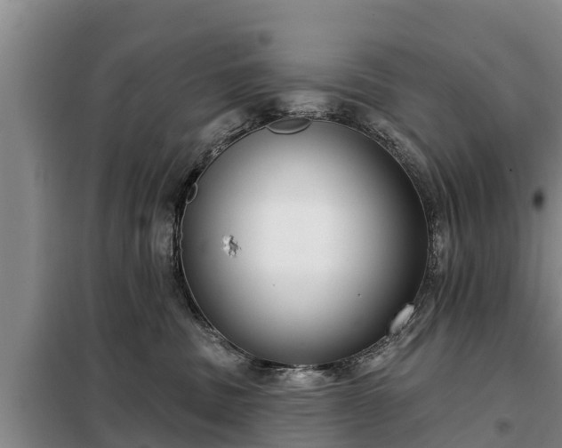 X0000099300379200805091000