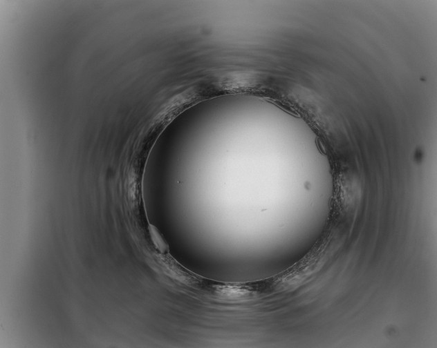 X0000099300380200805091000